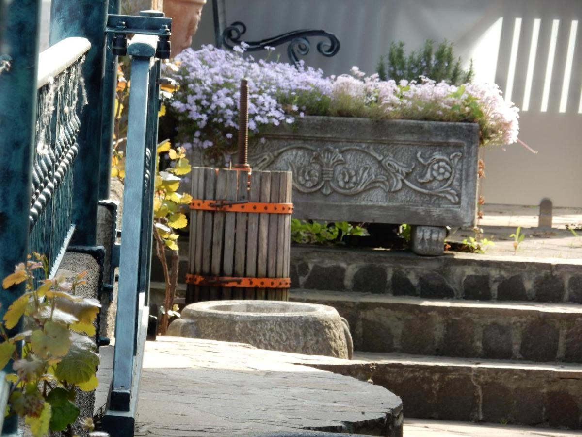 Garni Hotel Terano Maribor Eksteriør bilde